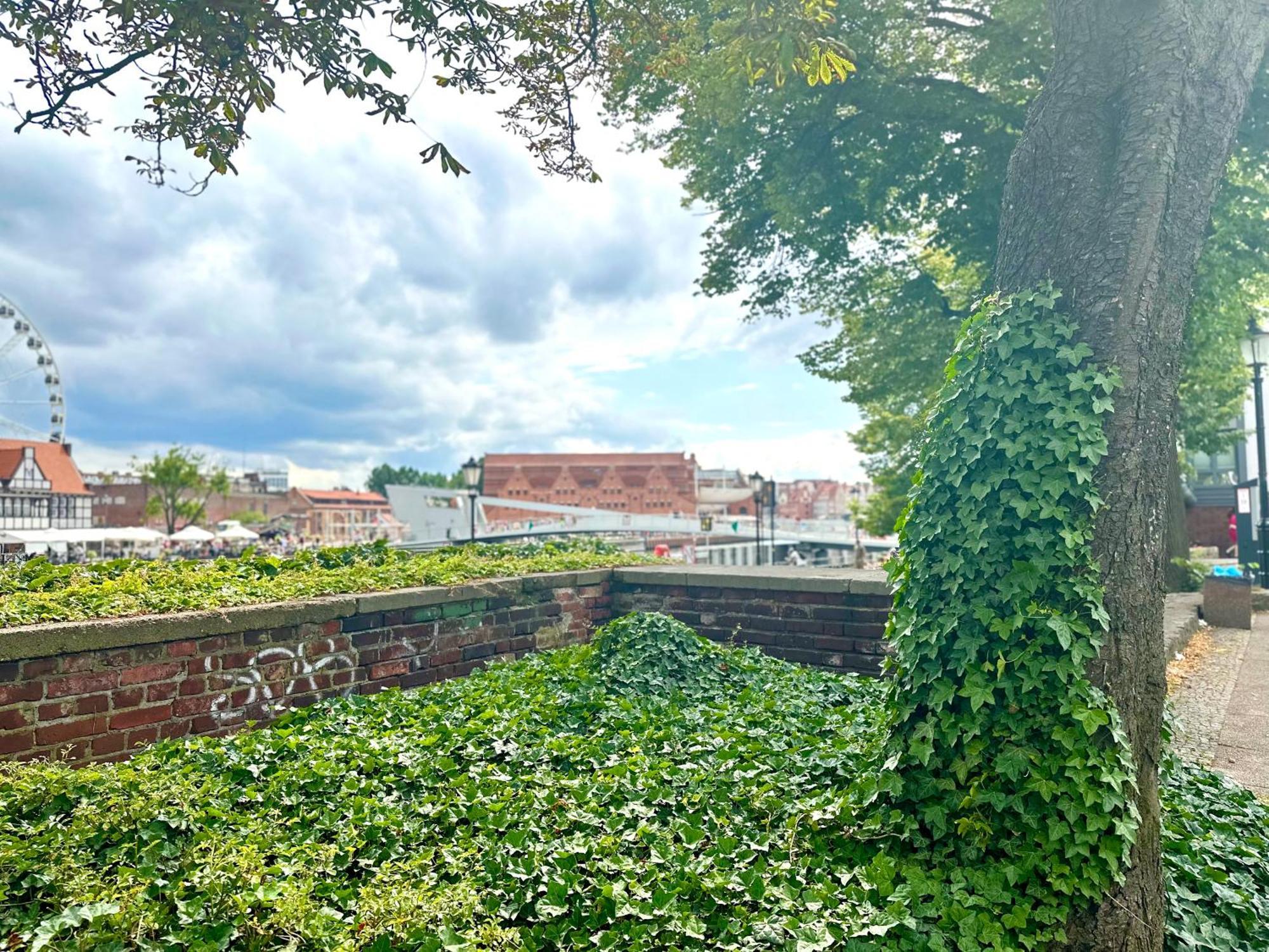 Kwatera prywatna Mmrent Valley Gdańsk
